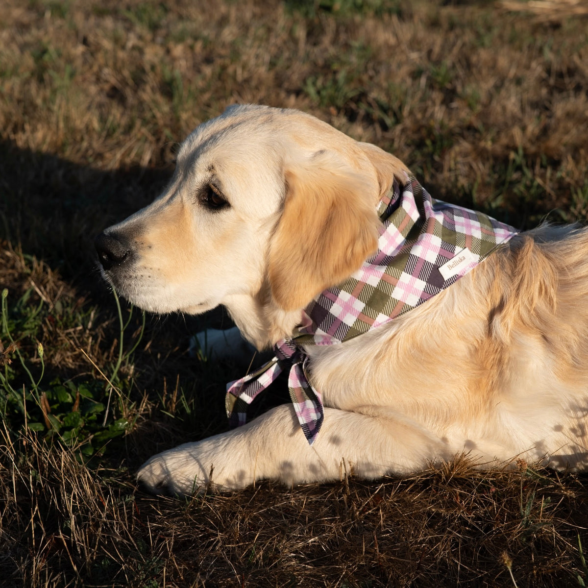 Bandana Oscar
