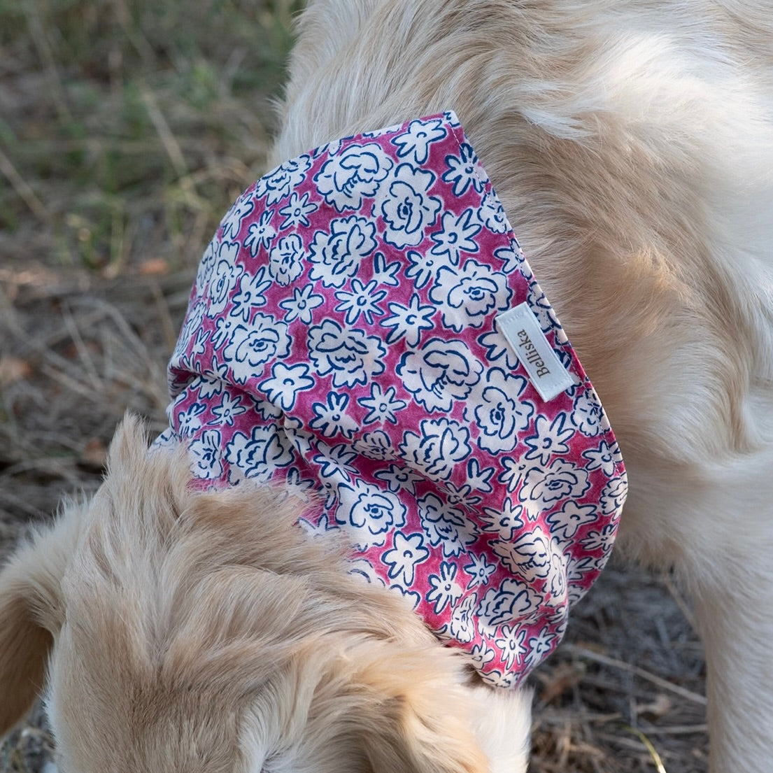 Bandana Rosie