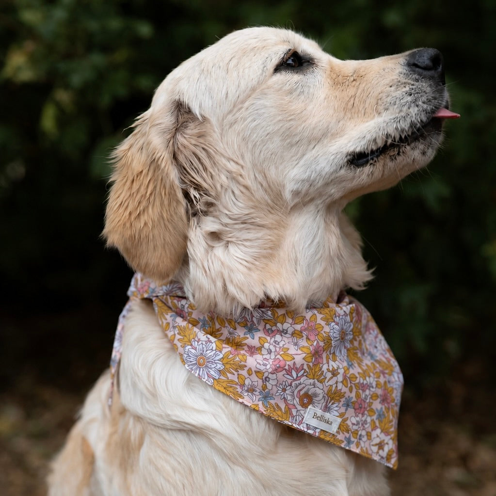 Bandana Colette