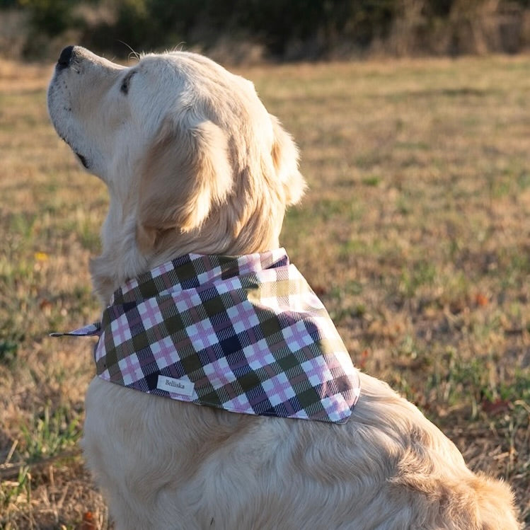 Bandana Oscar