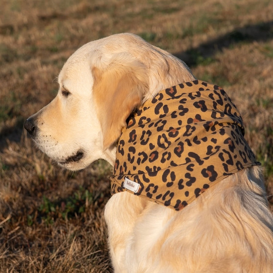Bandana Nala