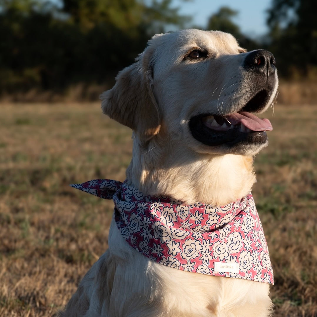 Bandana Rosie