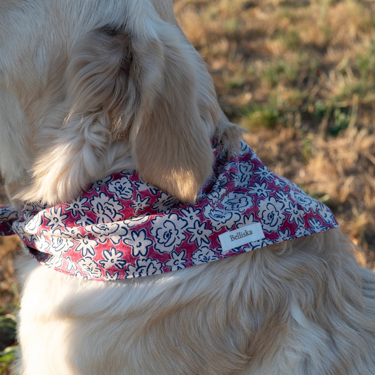 Bandana Rosie