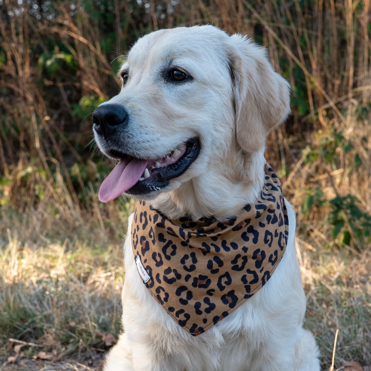 Bandana Nala