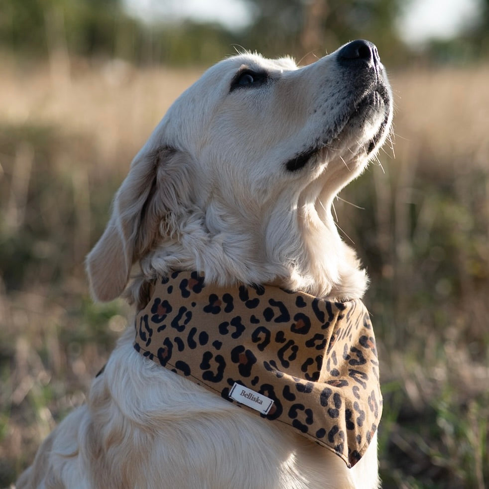 Bandana Nala