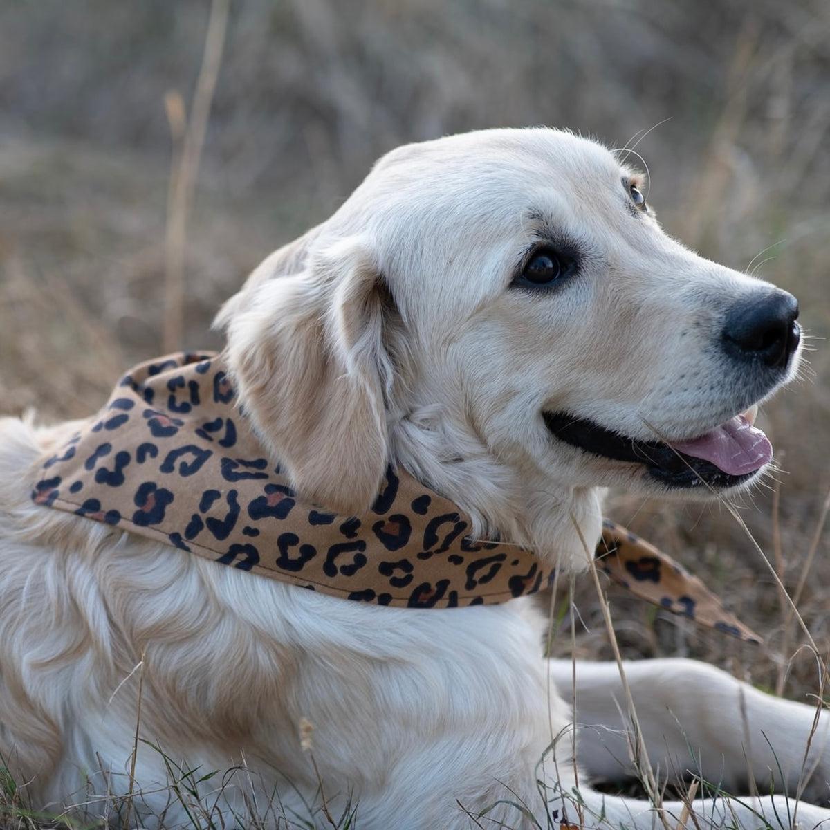 Bandana Nala