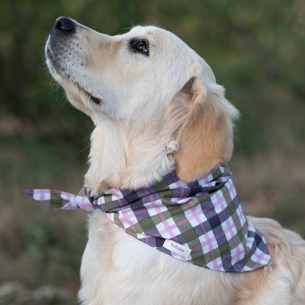 Bandana Oscar
