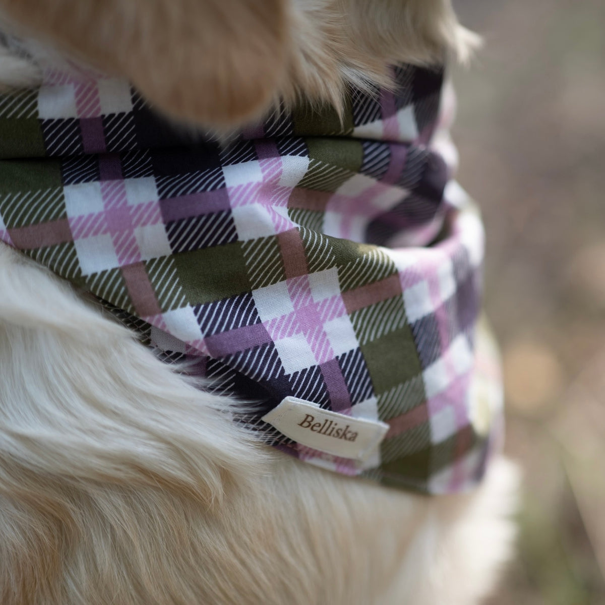 Bandana Oscar