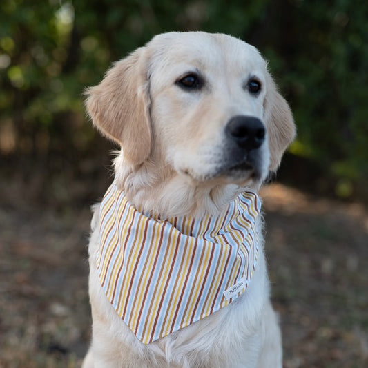Bandana Tournesol