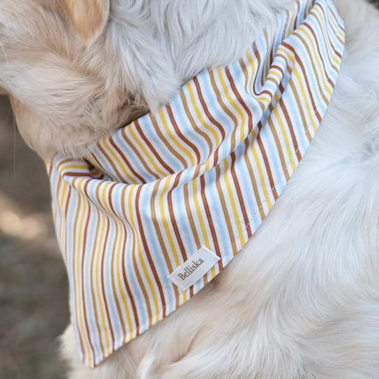 Bandana Tournesol