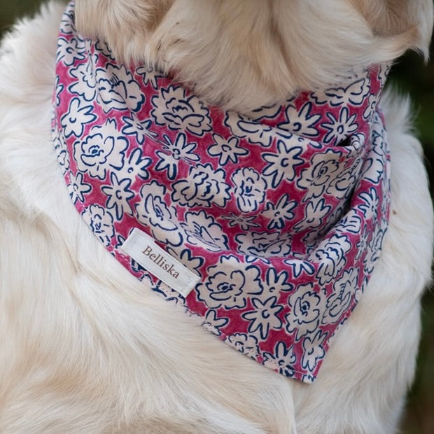 Bandana Rosie