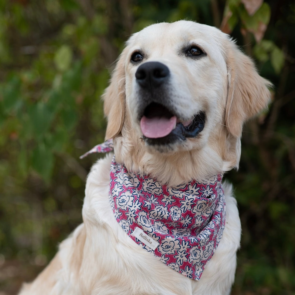Bandana Rosie