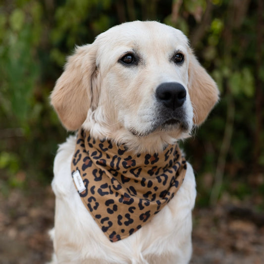 Bandana Nala