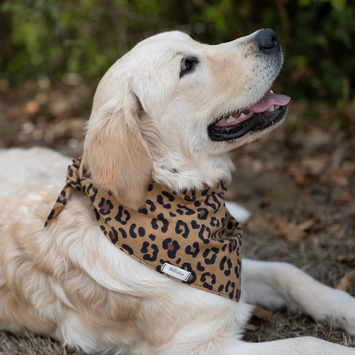 Bandana Nala