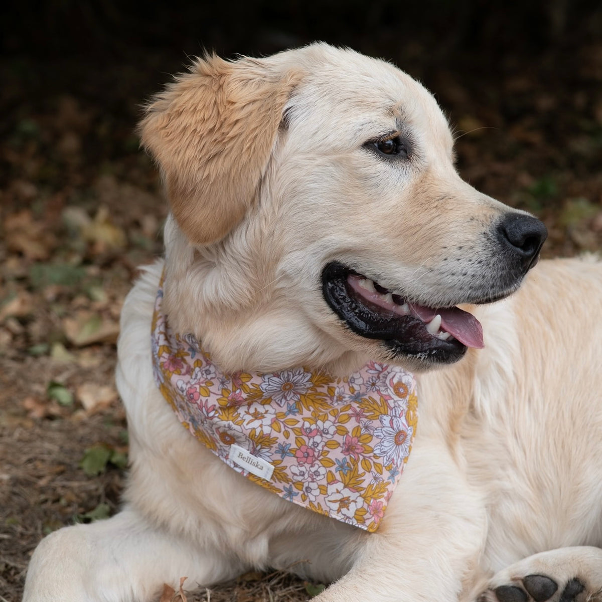 Bandana Colette