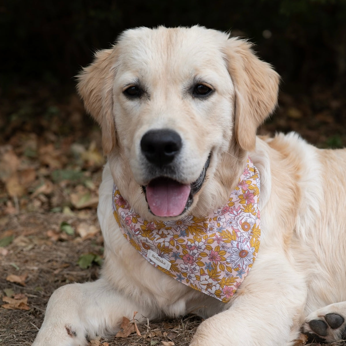 Bandana Colette
